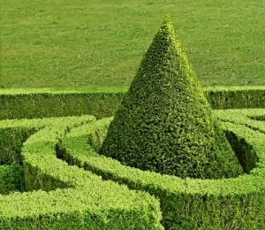 Barocke Schnittkunst im heutigen Schlosshof.